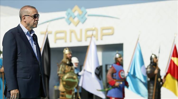 TANAP Project Vital for Turkey, Azerbaijan: Erdogan